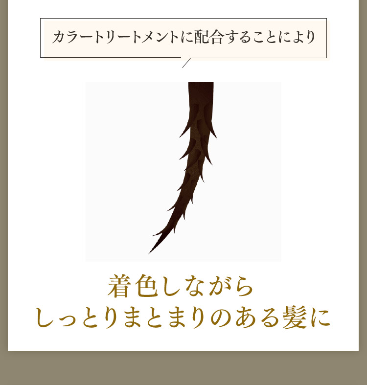 カラートリートメントに配合することにより着色しながらしっとりまとまりのある髪に