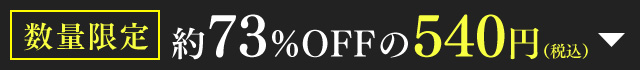 数量限定 約73％OFFの540円（税込）