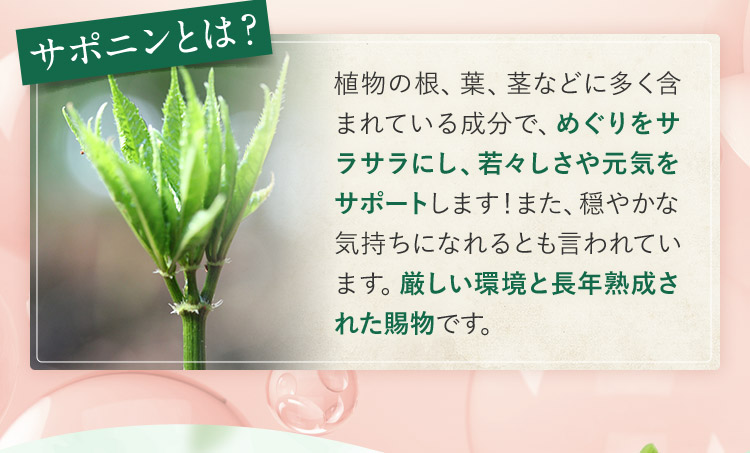 サポニンとは？ 植物の根、葉、茎などに多く含まれている成分で、めぐりをサラサラにし、若々しさや元気をサポートします！また、穏やかな気持ちになれるとも言われています。厳しい環境と長年熟成された賜物です。