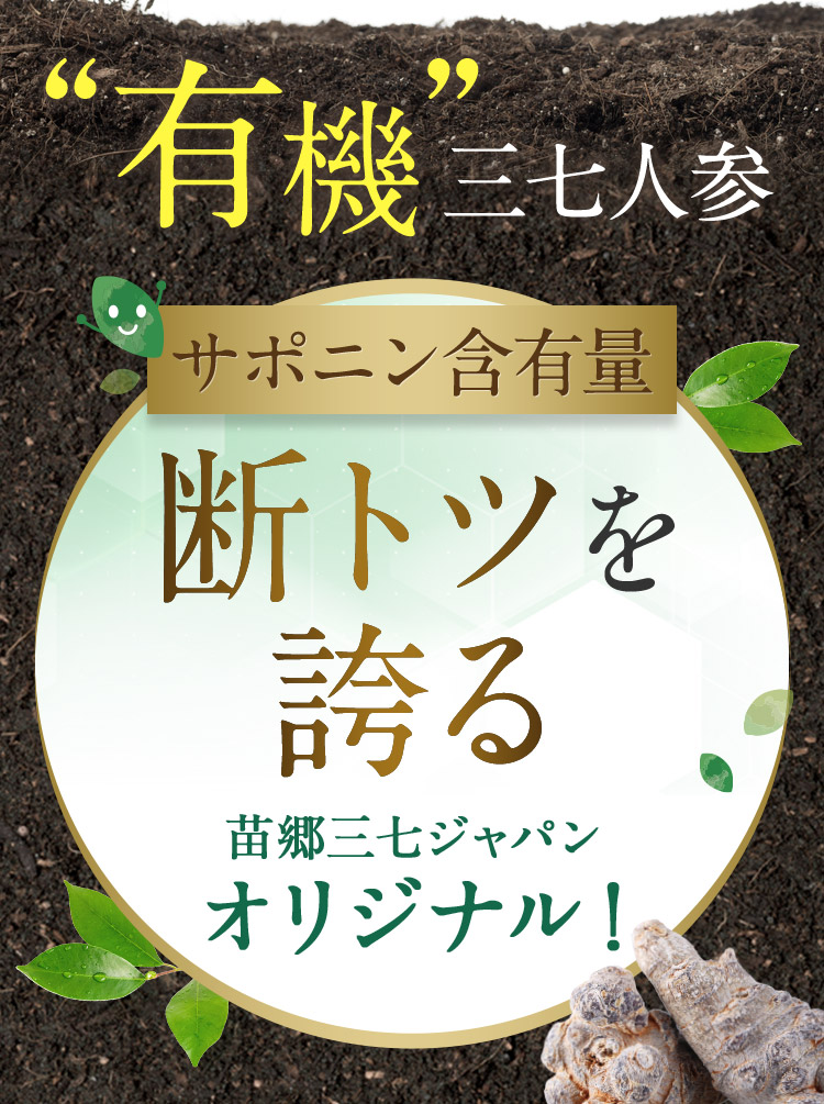 “有機”三七人参 サポニン含有量 断トツを誇る 苗郷三七ジャパンオリジナル！