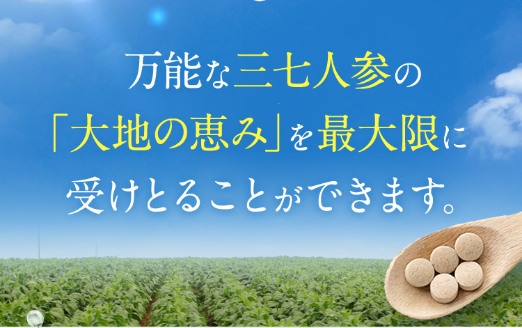 万能な三七人参の「大地の恵み」を最大限に受けとることができます。