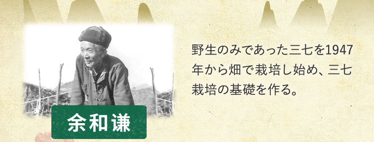 余和謙 野生のみであった三七を1947年から畑で栽培し始め、三七栽培の基礎を作る。