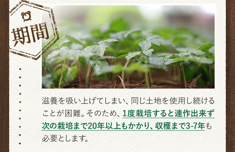 期間 滋養を吸い上げてしまい、同じ土地を使用し続けることが困難。そのため、1度栽培すると連作出来ず 次の栽培まで20年以上もかかり、収穫まで3から7年も必要とします。