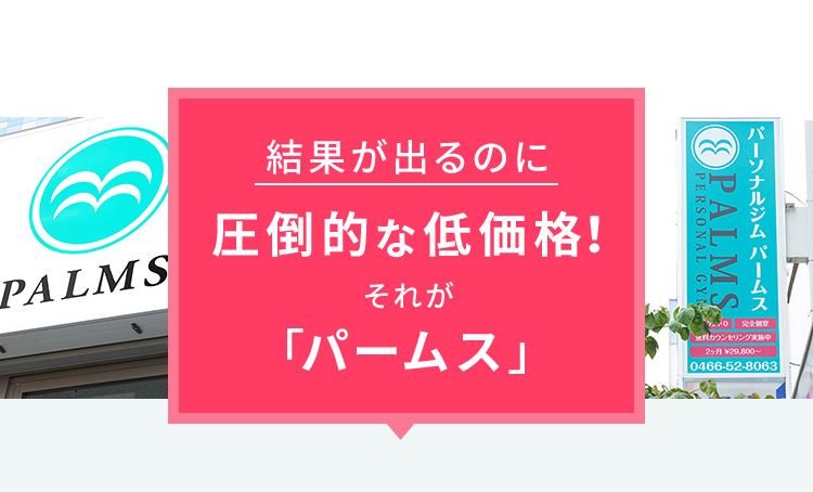 結果が出るのに圧倒的な低価格！それが「パームス」