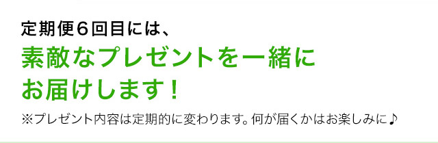 定期便6回目には、素敵なプレゼントを一緒にお届けします！※プレゼント内容は定期的に変わります｡何が届くかはお楽しみに。