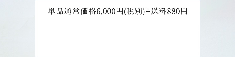 単品通常価格6,000円(税別)+送料880円