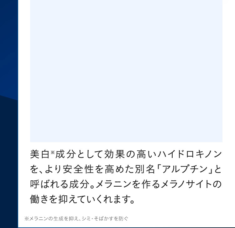 美白※成分として効果の高いハイドロキノンを、より安全性を高めた別名「アルプチン」と呼ばれる成分。メラニンを作るメラノサイトの働きを抑えていくれます。※メラニンの生成を抑え、シミ・そばかすを防ぐ